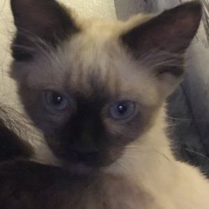 Meet your Posher, Edwin